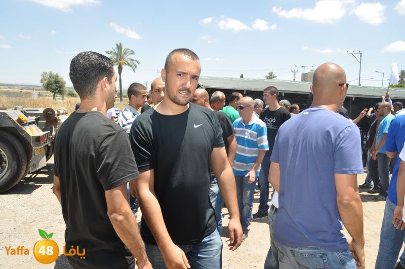 sol7desoqylud615 (56).JPG